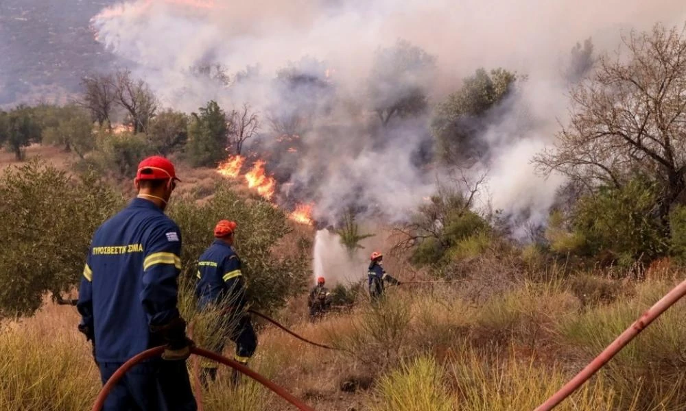 Πάτρα: Σβήστηκε η φωτιά που είχε ξεσπάσει σε χαμηλή βλάστηση στην Πάτρα- Έκαιγε κοντά σε σπίτια (Βίντεο)